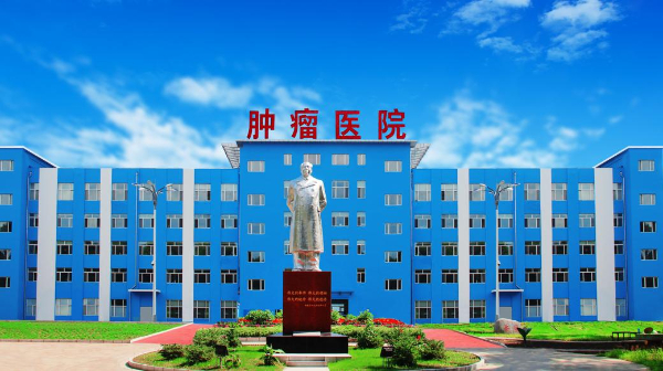 佳木斯市結(jié)核病醫(yī)院（腫瘤醫(yī)院）：黨建引領(lǐng)鑄醫(yī)魂 創(chuàng)新驅(qū)動攀高峰