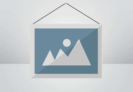 河?xùn)|區(qū)：新春消費(fèi)季啟幕 推出多元化促消費(fèi)舉措